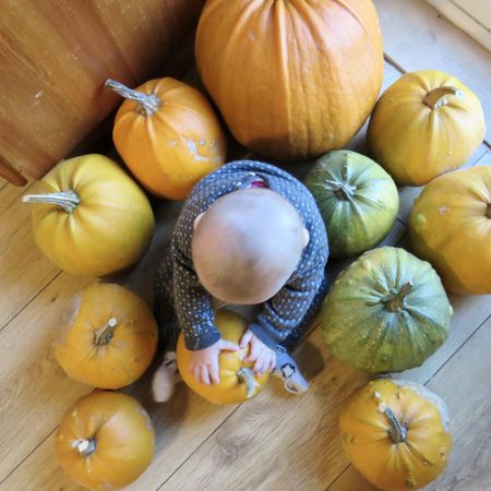 Top view of toddler surrounded by pumpkins