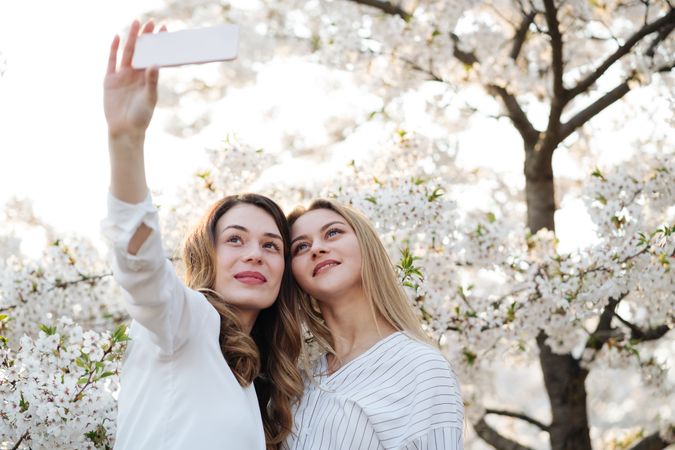 Friends taking selfie near blooming trees