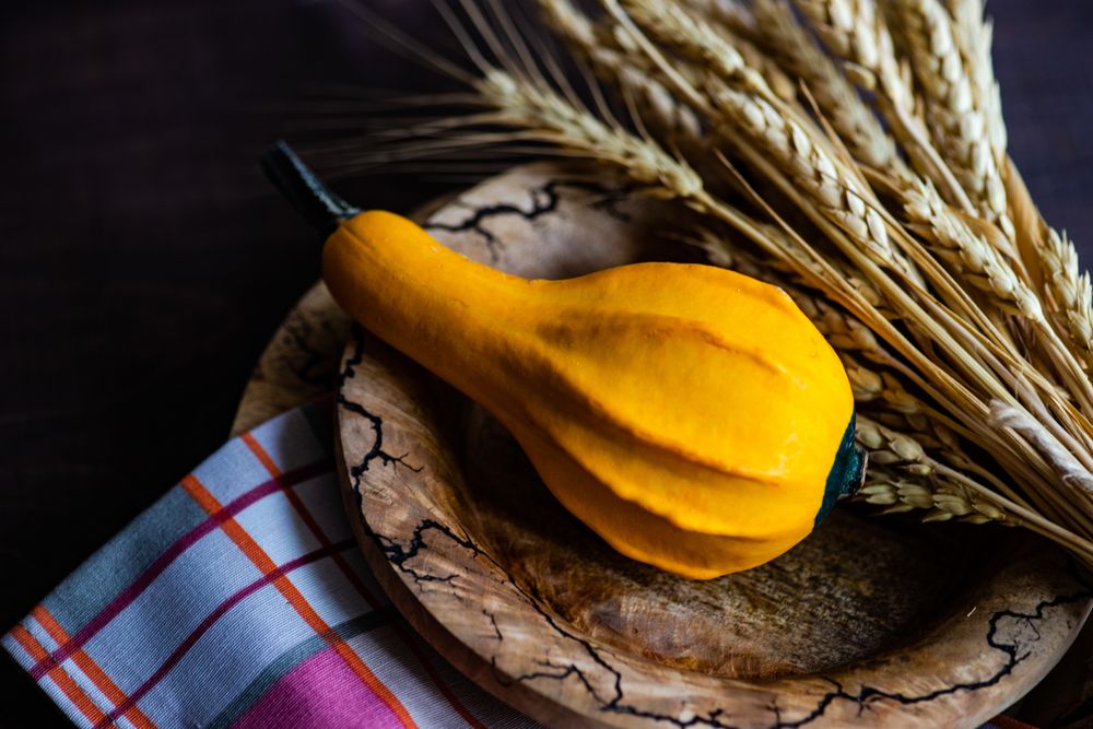 Rustic plate with wheat chaff and squash