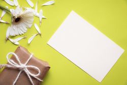 Top view of blank message card with figs on green background