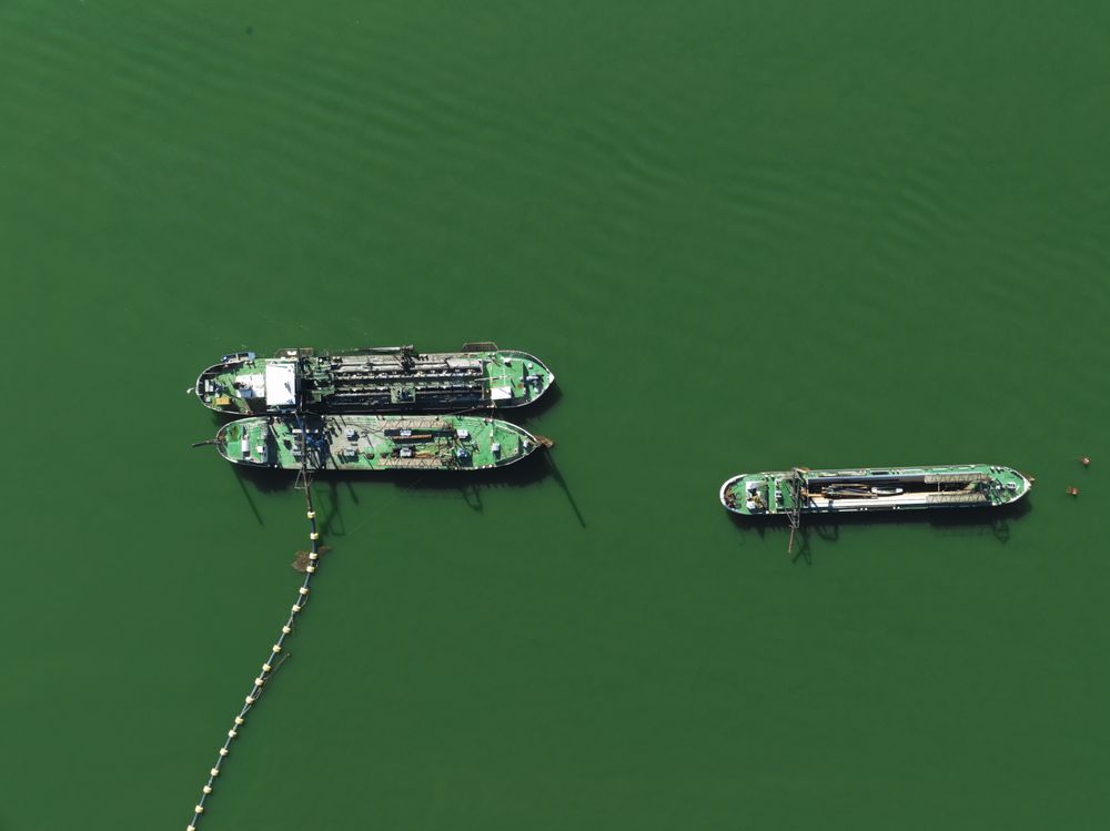 Plain teal green background of dredgers working.