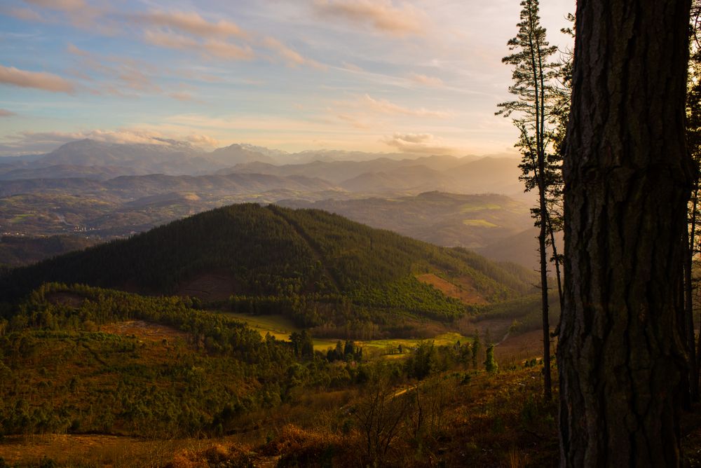 Majestic landscape of green mountains in sunlight