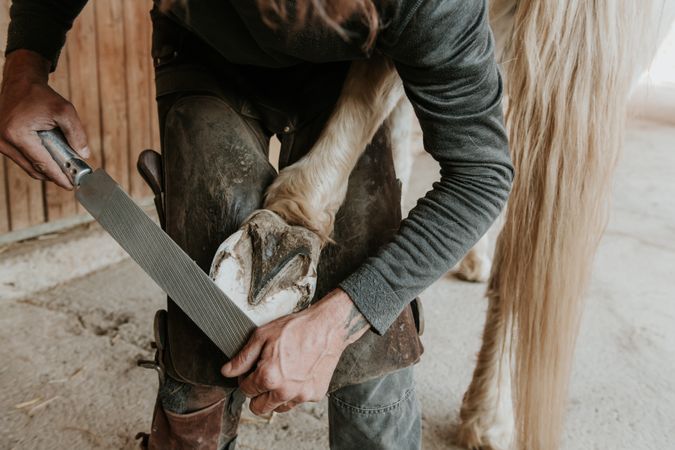 Man shoeing horse near stable