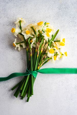 Bouquet of fresh spring daffodil flowers on grey counter