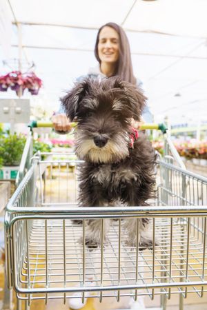 Smiling woman pulling cart with dog in it
