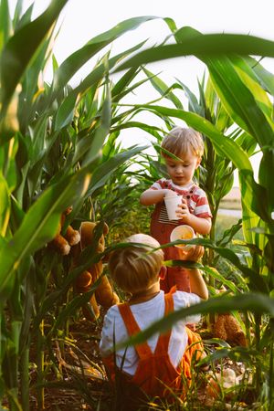 Cute little brother playing together in green corn field