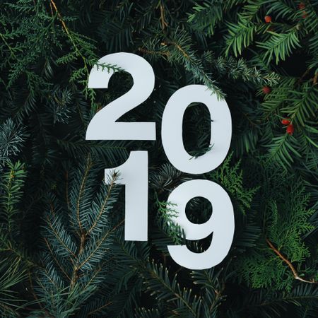 2019 cut out of light paper on a green pine background