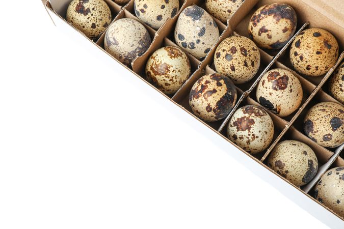 Quail eggs in carton box isolated on light background, top view