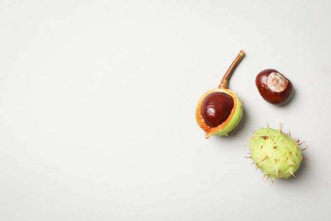 Fresh and ripe chestnuts, space for text