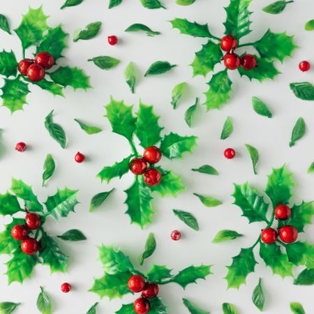 Plastic holly plant and leaves on light background