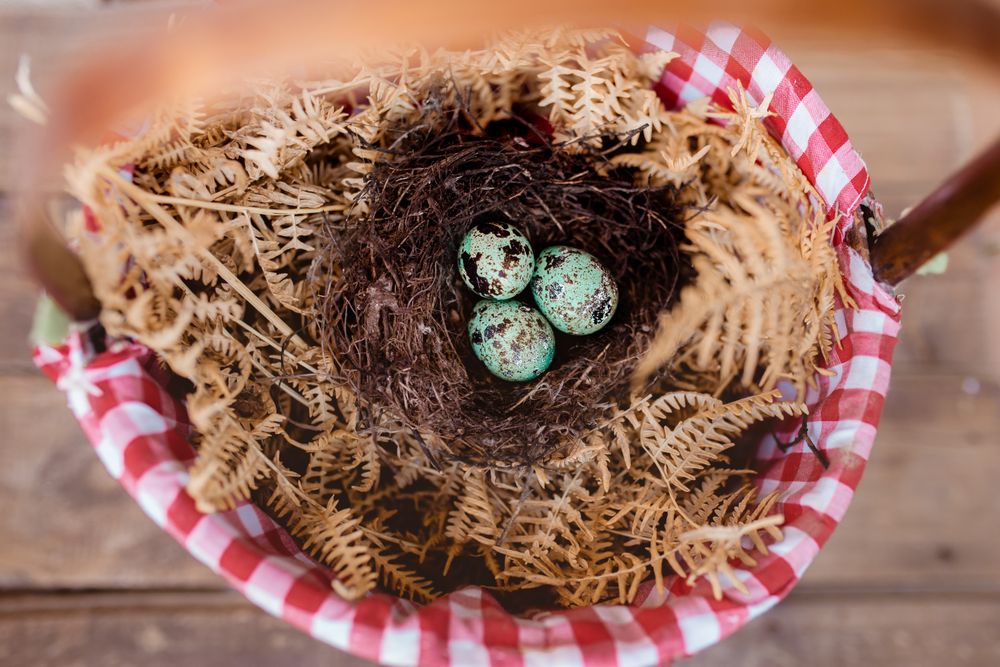 nest with blue eggs in a basket