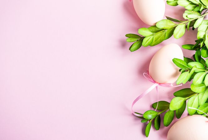 Easter holiday card with eggs and branches on baby pink background