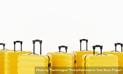 Yellow hard shell roller suitcases arranged on light background 4dvwN0