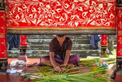 Bali, Indonesia - August, 15 2015: Indonesian man braiding palm leaves