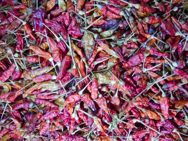 dried chilies