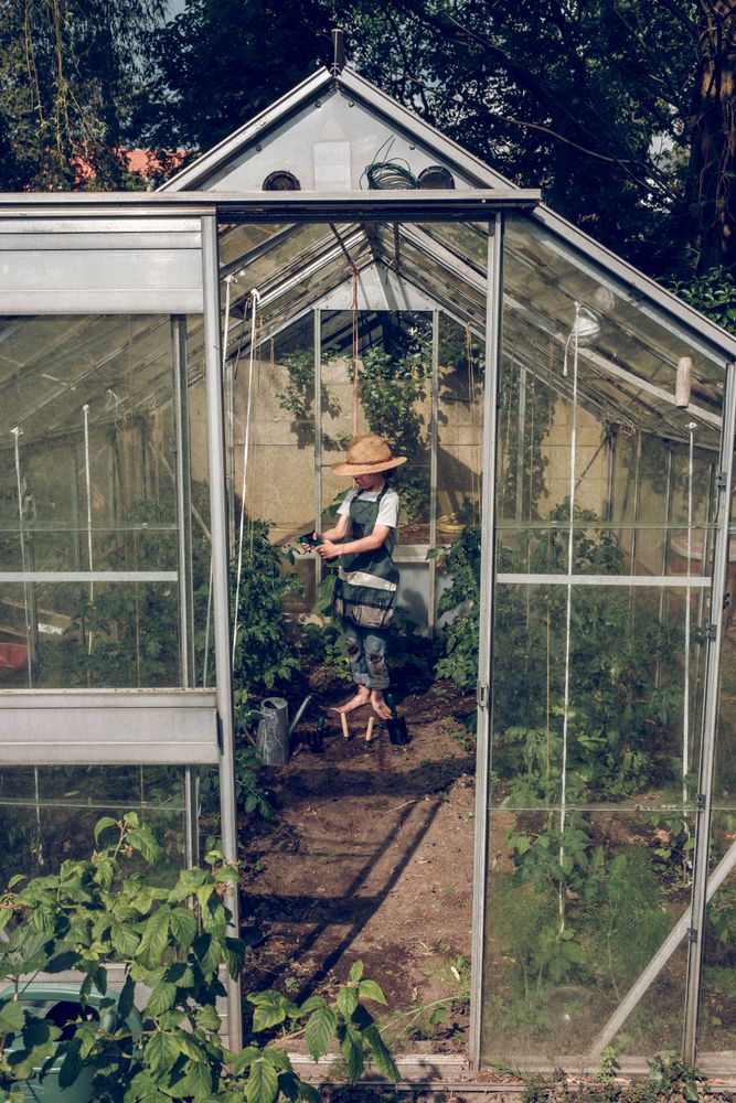 Anonymous boy watering plants in greenhouse