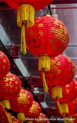 Red and yellow paper lantern in close-up 5pD1O5