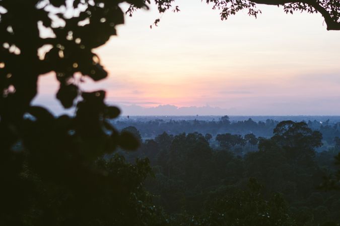 Peaceful tropical landscape with twilight mist