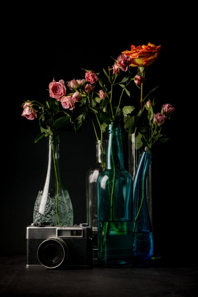 Retro camera near beautiful flowers