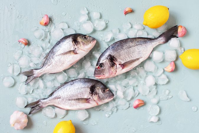 Three fish on ice with garlic and lemons