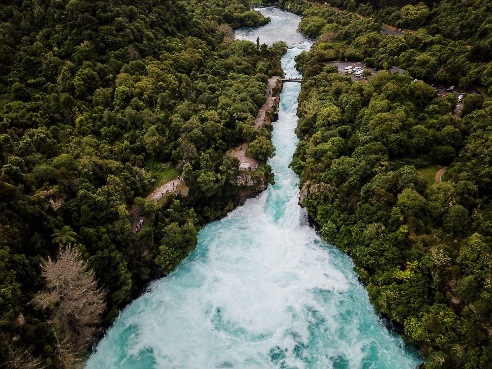 Aerial view of river in green forest