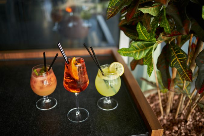 Three colorful cocktails next to a plant
