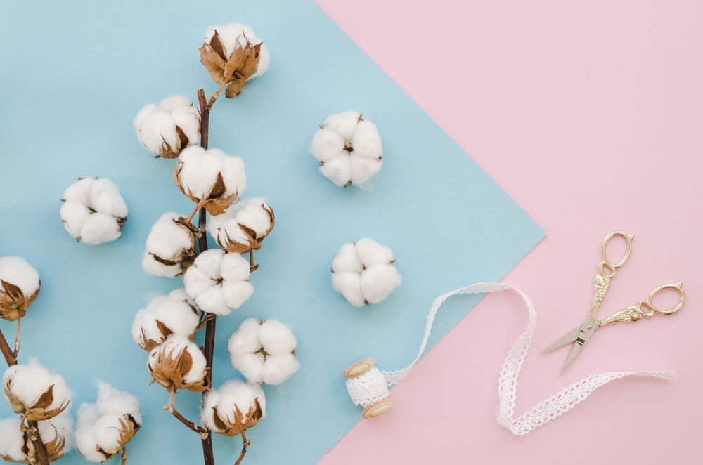 Arrangement with cotton flowers and scissors