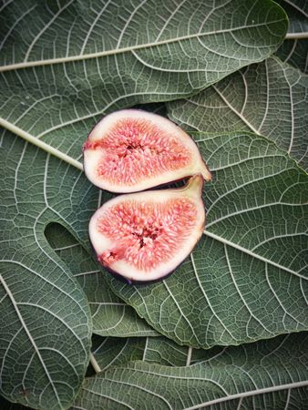 Piled leaves with fig on top