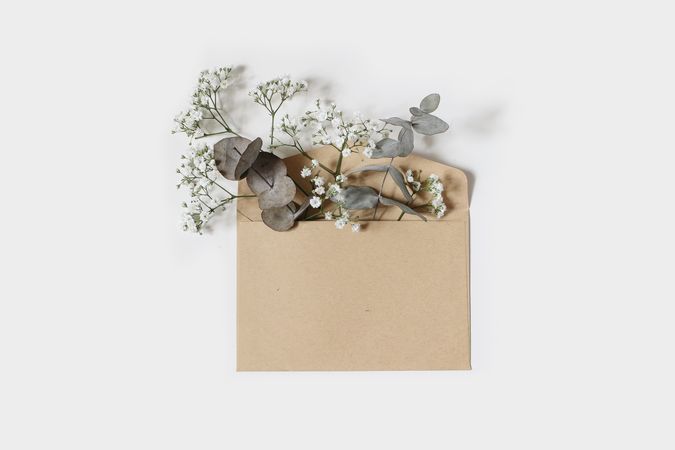 Elegant flowers and green leaves in open craft paper envelope isolated.
