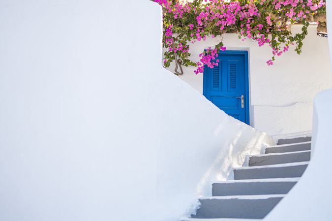 Stairs leading up to blue door and pink flowers