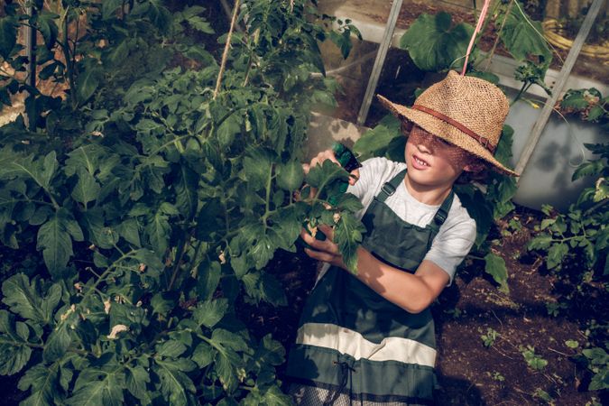 Boy in apron spraying plants in hothouse