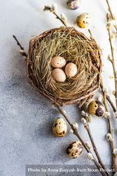 Top view of speckled eggs in nest on table with pussy willow branches with copy space 4NENKg