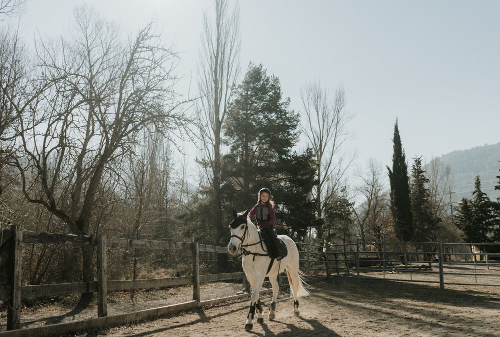 Little girl riding horse in enclosure