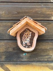 Bee house, bear