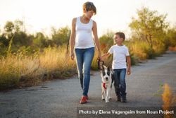 Expecting woman and young boy take their dog for walk on road 0Pd8r0