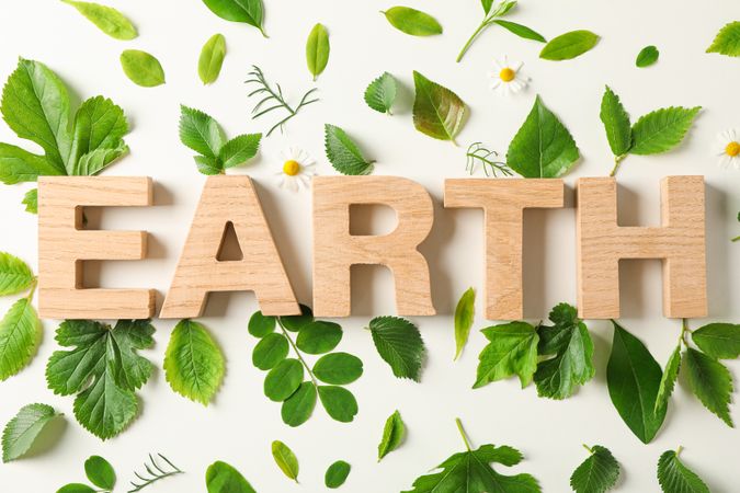 Inscription earth and greenery on light background, closeup. Environmental protection. Agriculture