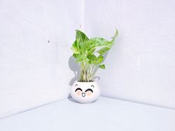vase of ivy flowers in the middle of the table