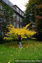 University student standing beside yellow tree in Hamburg, Germany bx68r5