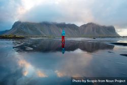 Back view of person standing in sparse outdoor near Vestrahorn mountain in Stokksnes peninsula, Hofn, Iceland 4ZD830