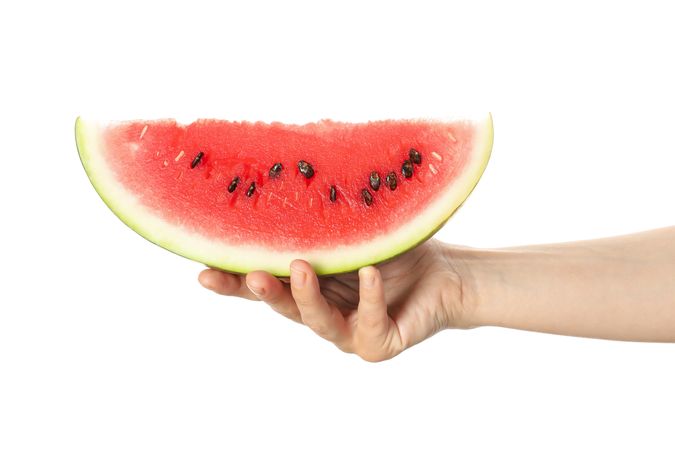 Female hand hold watermelon slice, isolated on plain background