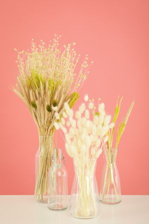 Four glass vases with dried flowers in pink room, vertical composition