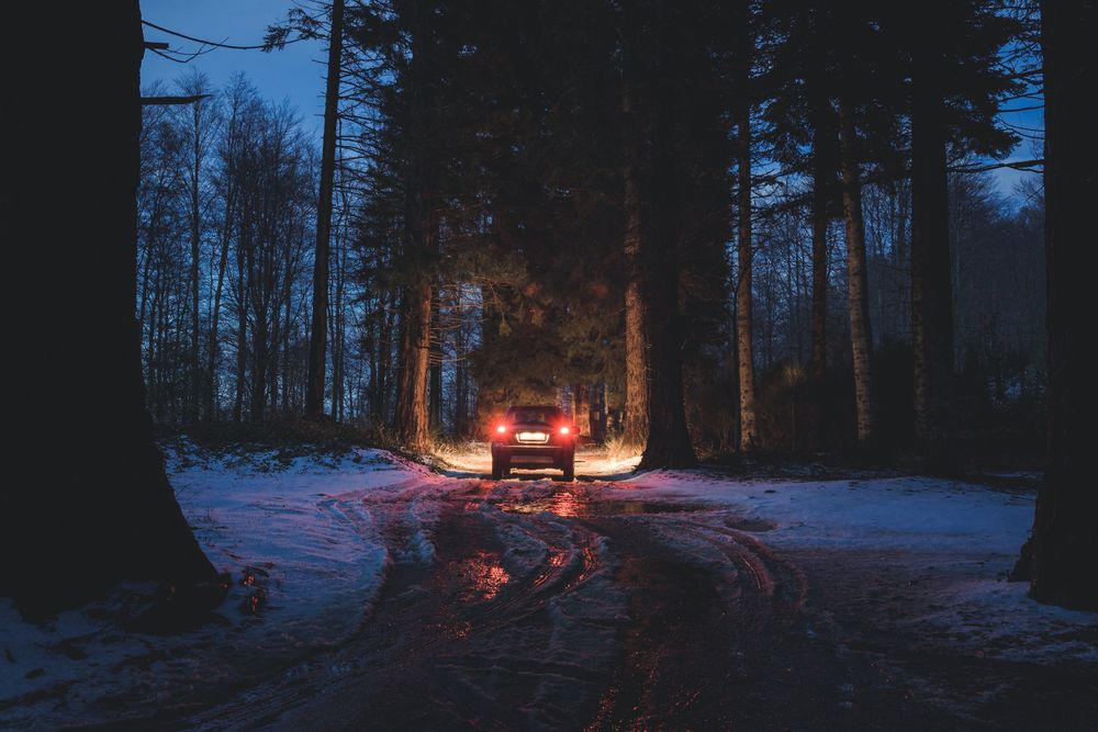 Car riding along dirty road in evening forest