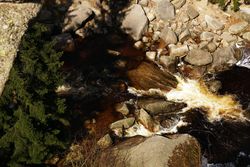 Mountain small raging river in woods