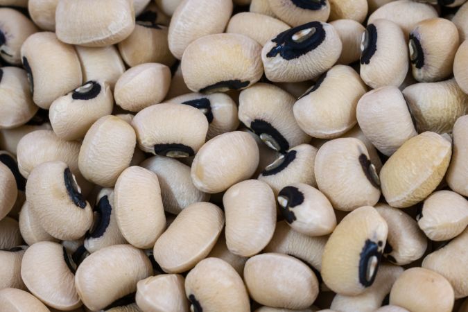 A background full of beans also called Chawli or Cowpea