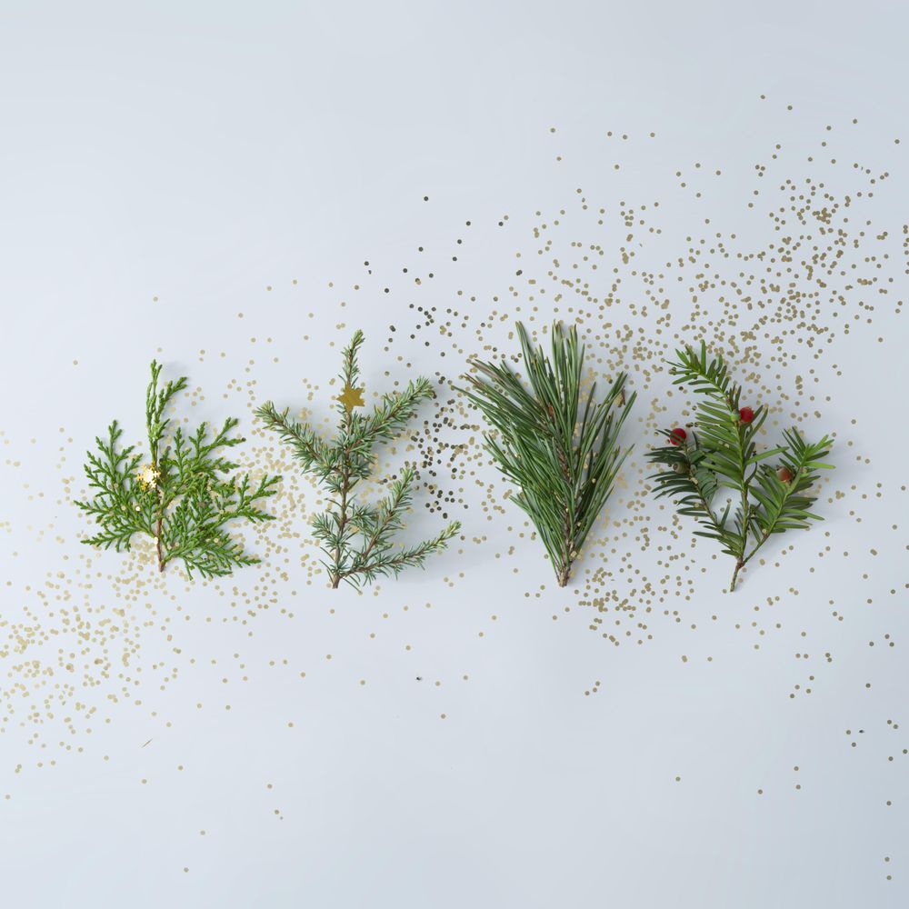 Holiday pine tree branches with glitter in a row on a light background