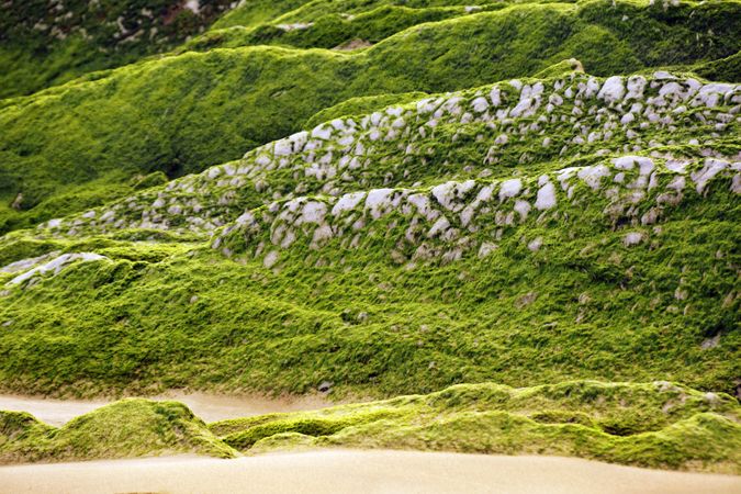 Stony hill covered with moss