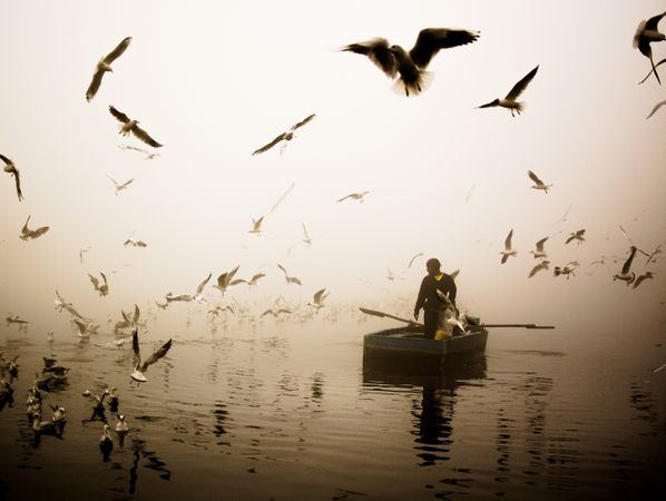 Man riding paddle boat surrounded by birds in a pond