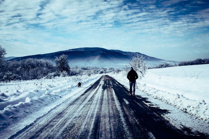 Person and a dog walking on snow covered road