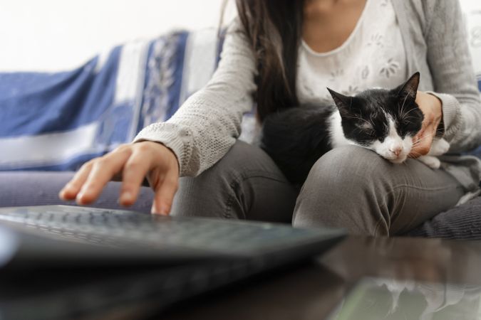 A young woman uses a laptop pc to surf the internet, while petting her cat sitting on the sofa at home