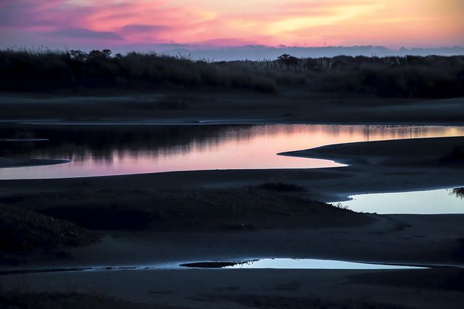 Quiet water during sunset surrounded by trees